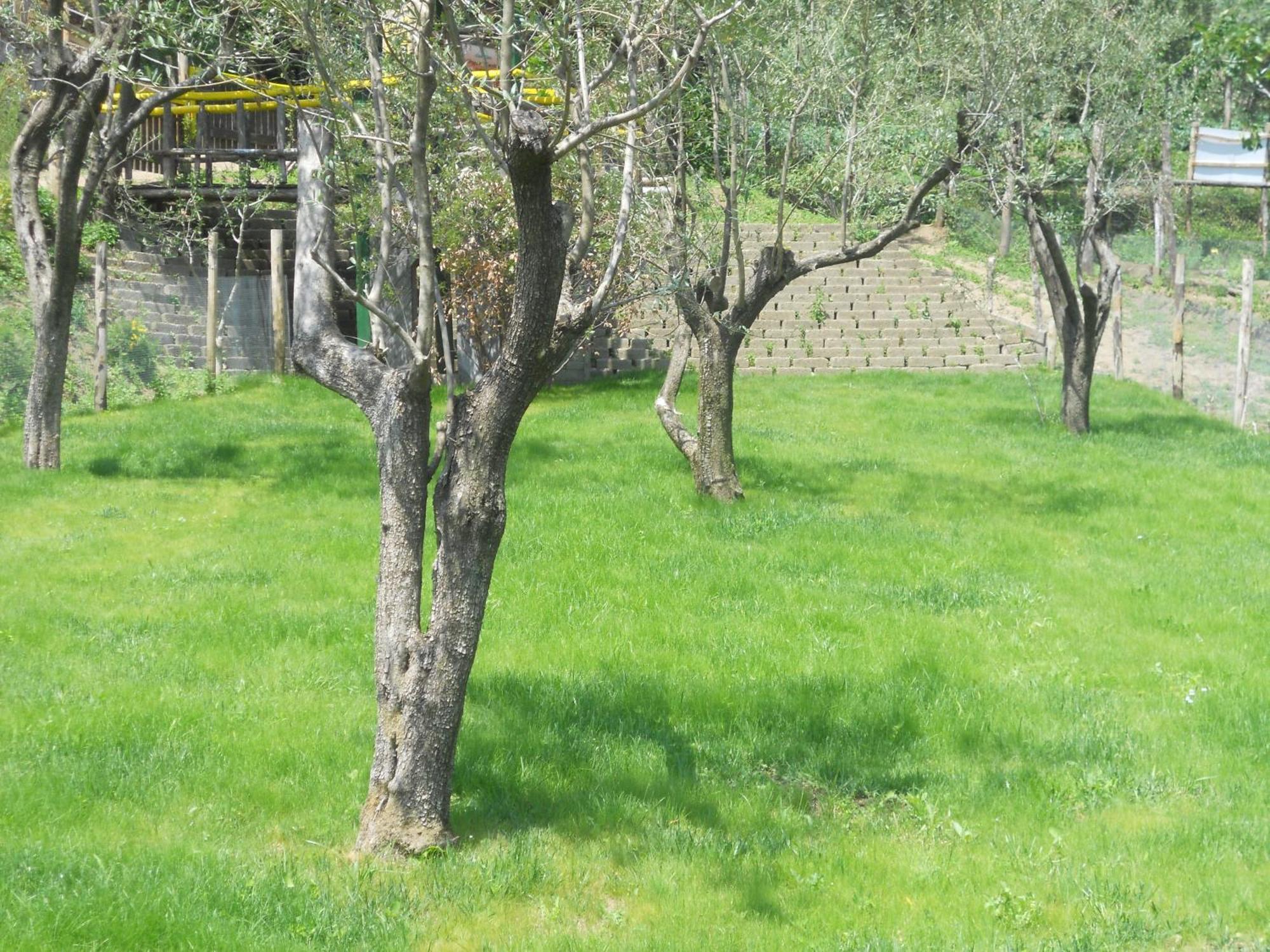 Agriturismo La Casa Del Ghiro Pimonte Bagian luar foto