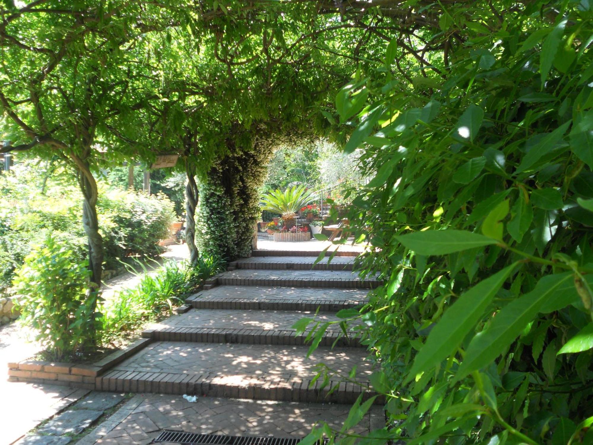 Agriturismo La Casa Del Ghiro Pimonte Bagian luar foto
