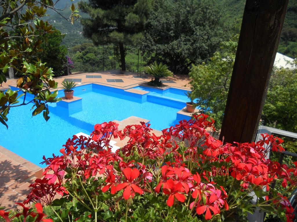 Agriturismo La Casa Del Ghiro Pimonte Bagian luar foto